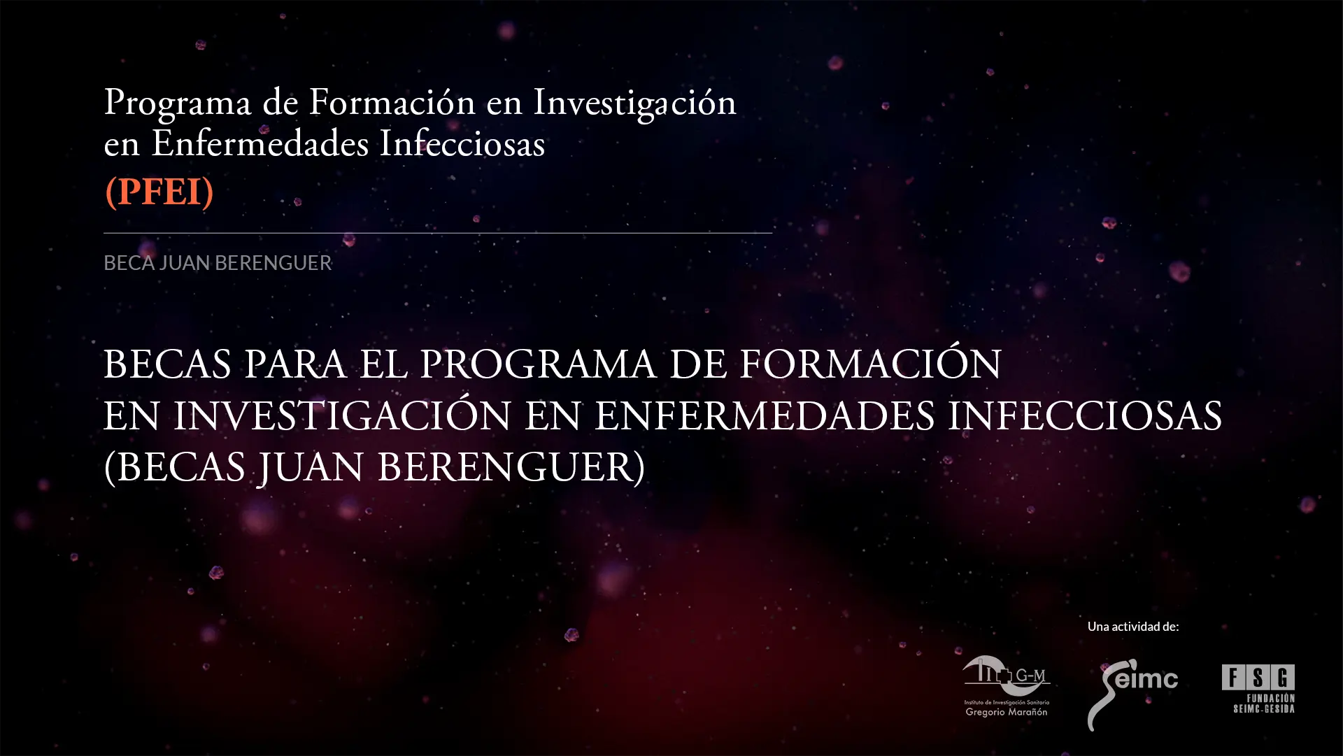 BECAS PARA EL PROGRAMA DE FORMACIÓN EN INVESTIGACIÓN EN ENFERMEDADES INFECCIOSAS (BECA JUAN BERENGUER)