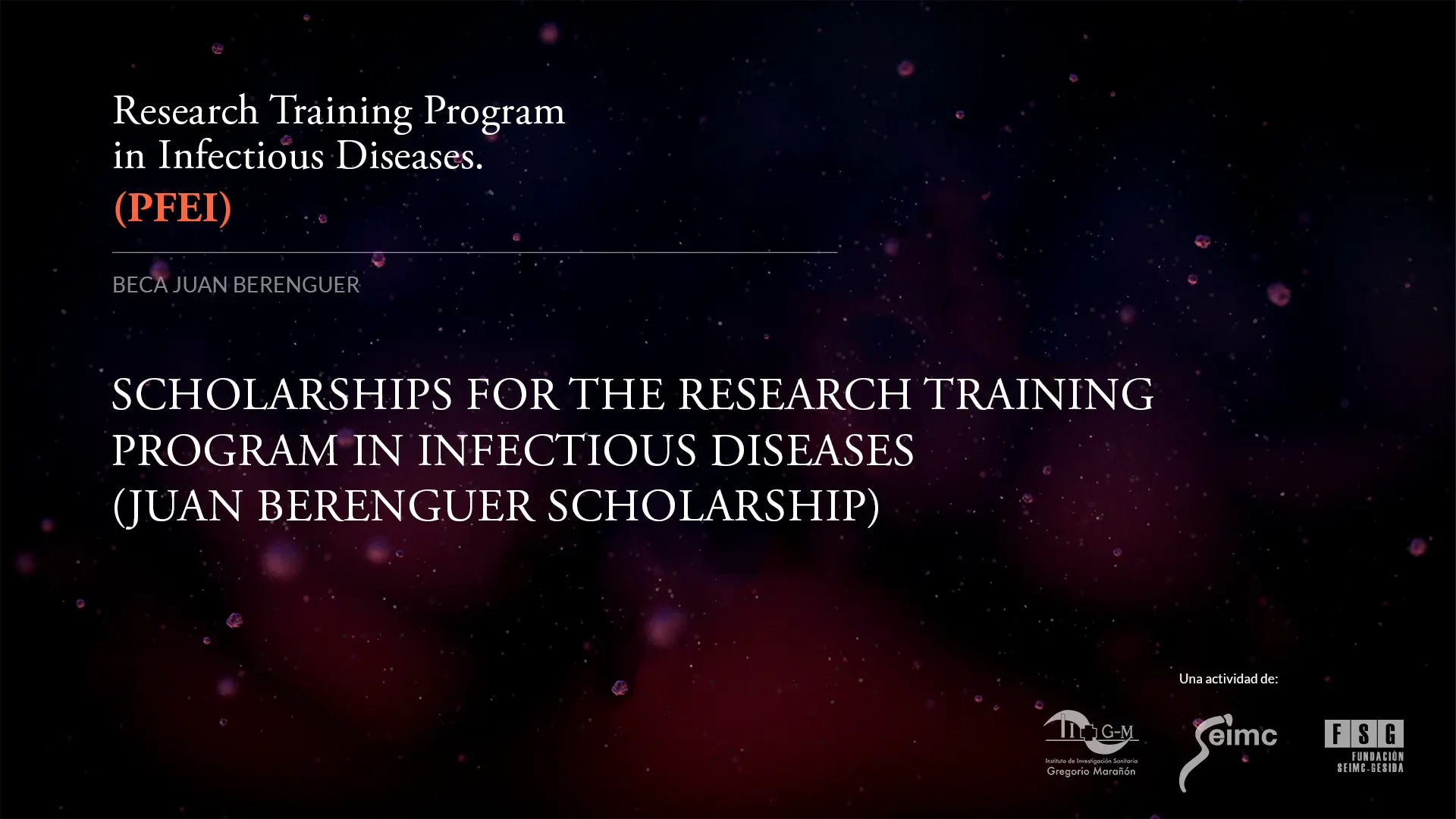 SCHOLARSHIPS FOR THE RESEARCH TRAINING PROGRAM IN INFECTIOUS DISEASES (JUAN BERENGUER SCHOLARSHIP)